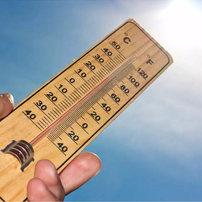 Nostalgie HOLZ THERMOMETER 22cm